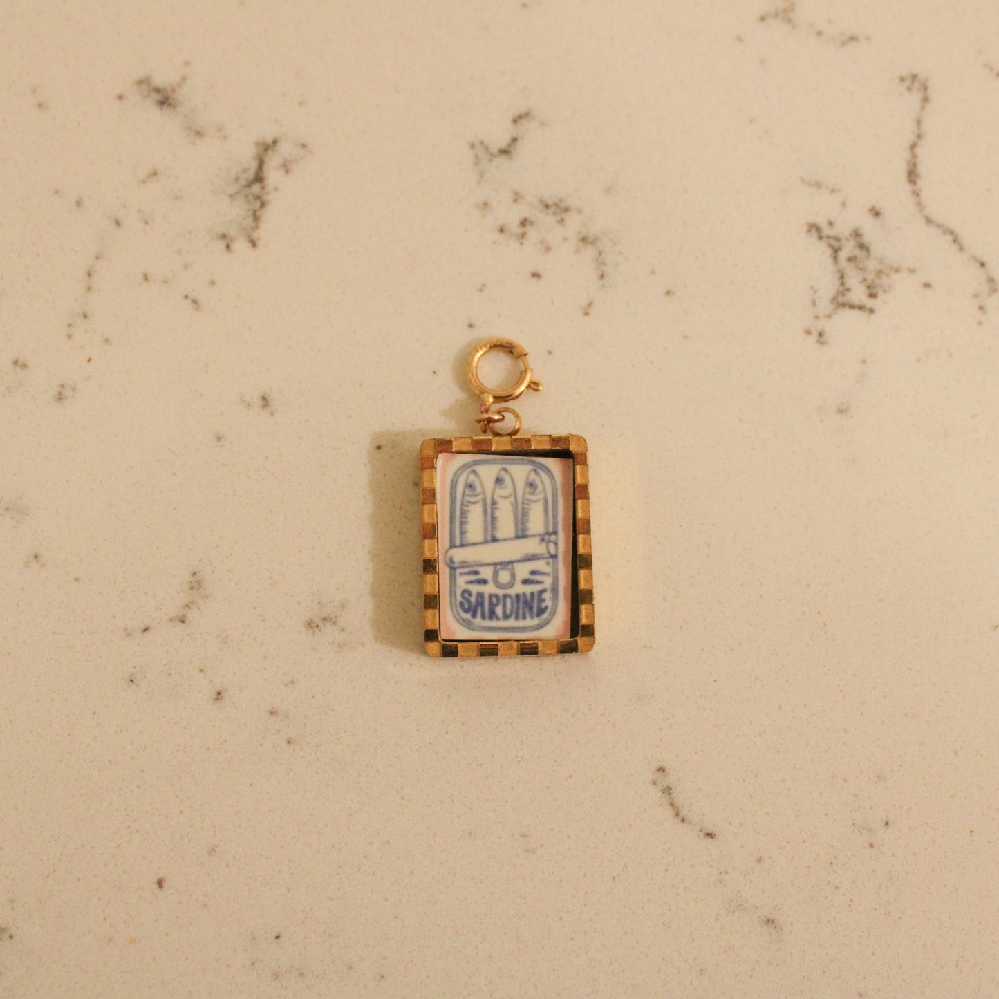 Interchangeable Charm